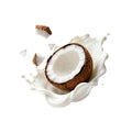 Hindistan Cevizi Aromalı Pirinç Kreması 500 GR