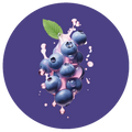 Bite & More Protein Pancake 50 GR - Blueberry